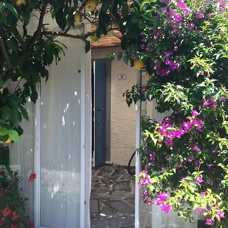 Il Nido Sul Mare A Dei Marmi Appartement