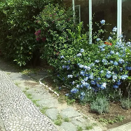 Appartement Il Nido Sul Mare A Dei Marmi