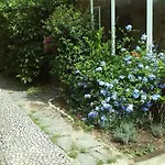 Апартаменты Il Nido Sul Mare A Dei Marmi